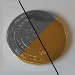 Médaille Souvenir Monnaie de Paris avec face lisse - N.G. ou C.A.N.